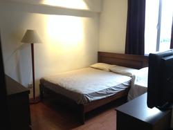 Jalan Besar Plaza (D8), Apartment #66900502